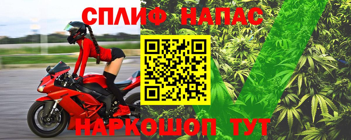 Шишки марихуана семена Липецк